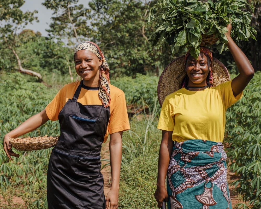 Women Inclusion & Empowerment